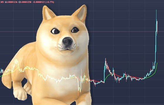 Октябрьское ралли: Shibu Inu рискует упасть на 578%
