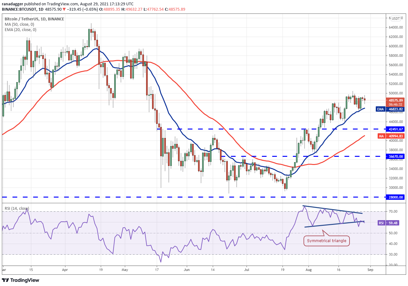 TradingView