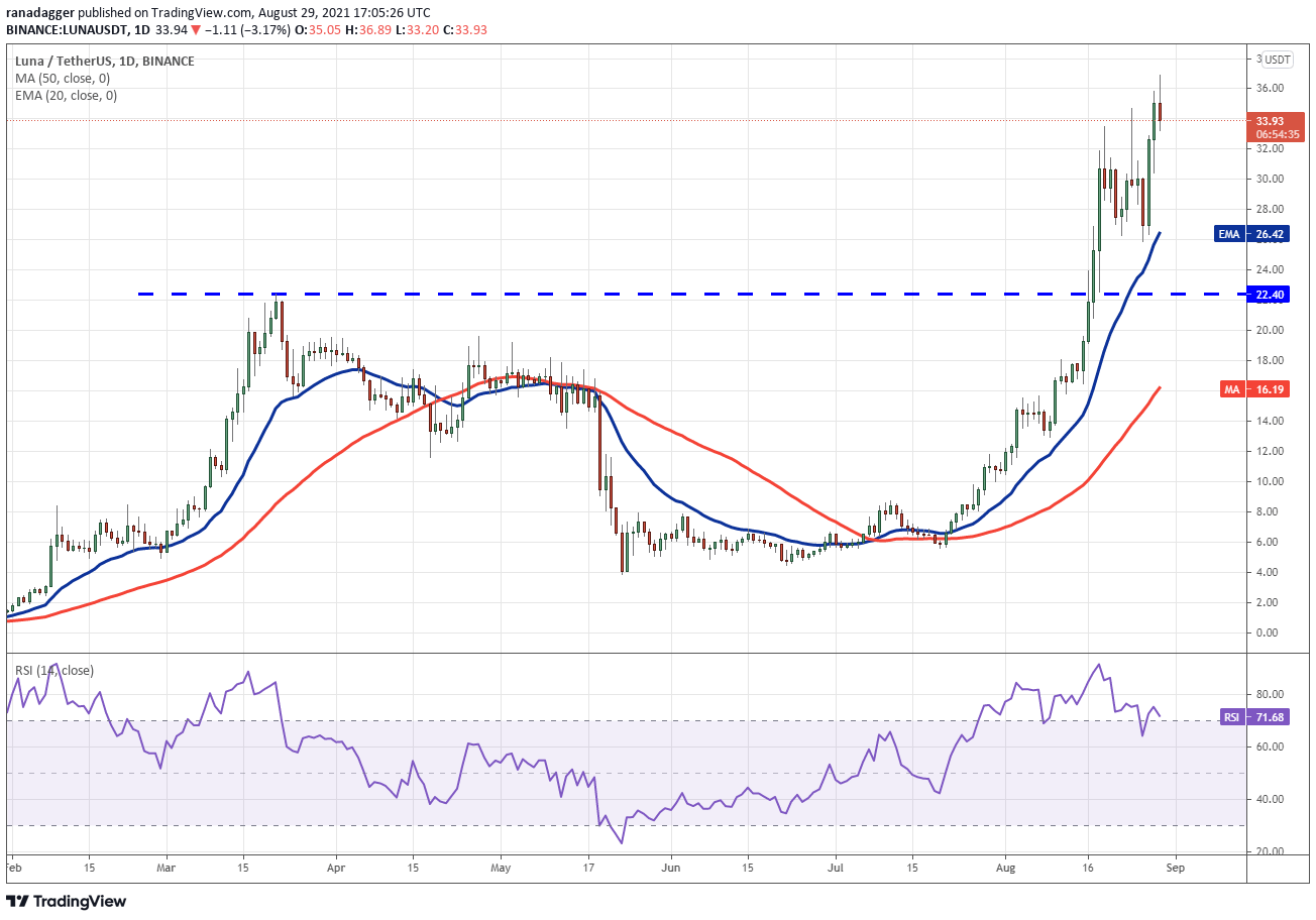 TradingView