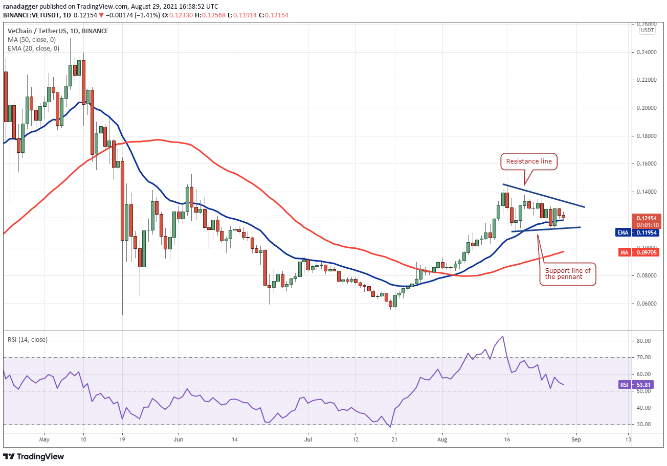 TradingView
