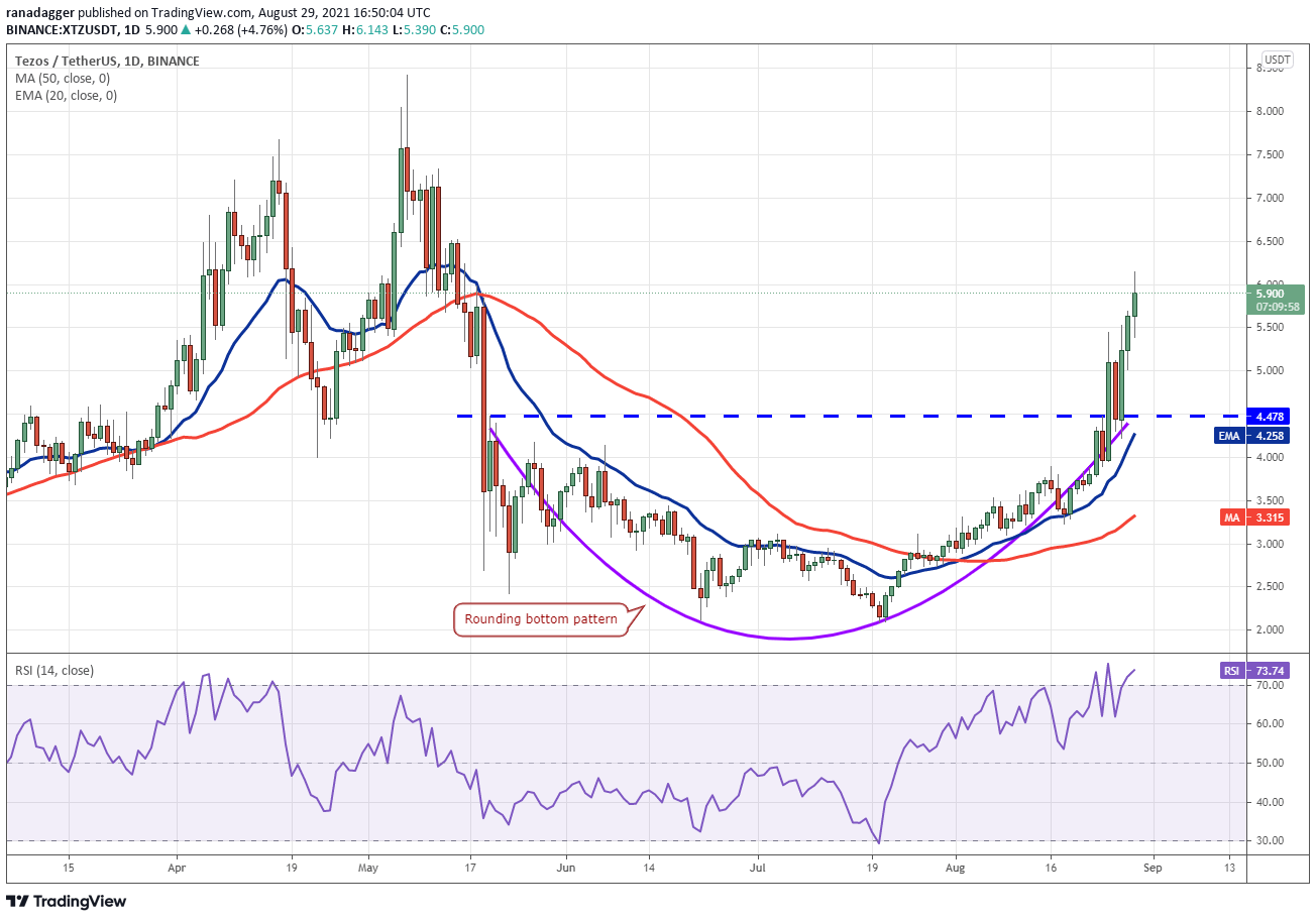 TradingView