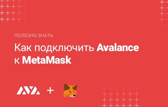 Как подключить Avalanche (AVAX) в MetaMask?