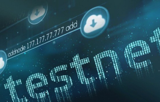 Основная и тестовая сети криптовалюты: что это и зачем нужны