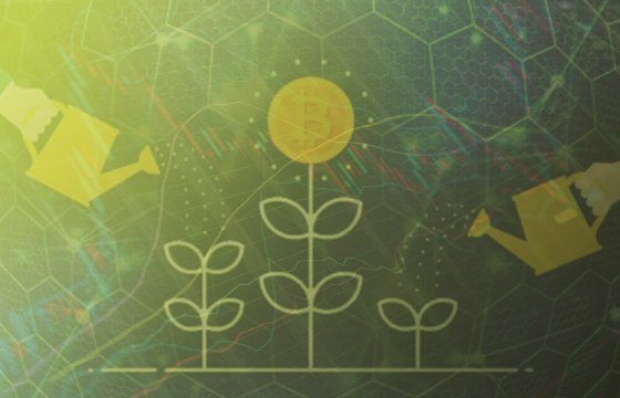 Инвестиционные компании для запуска блокчейн-проектов