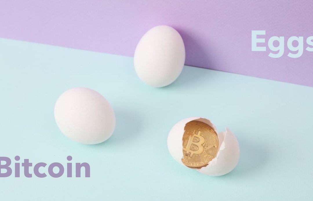 Bitcoin vs Eggs
