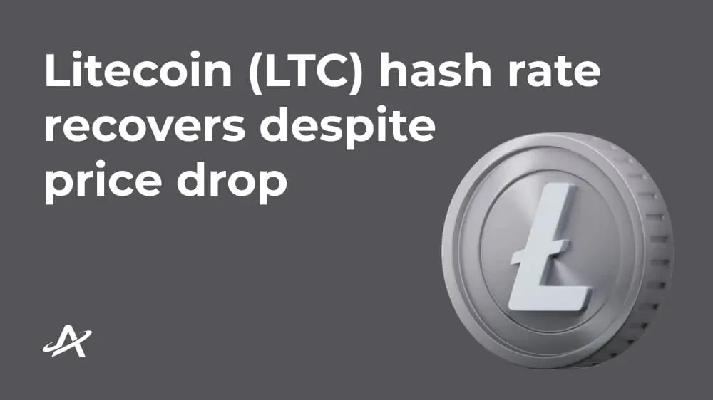 Хэшрейт и сложность Litecoin (LTC) восстанавливаются, несмотря на падение цены